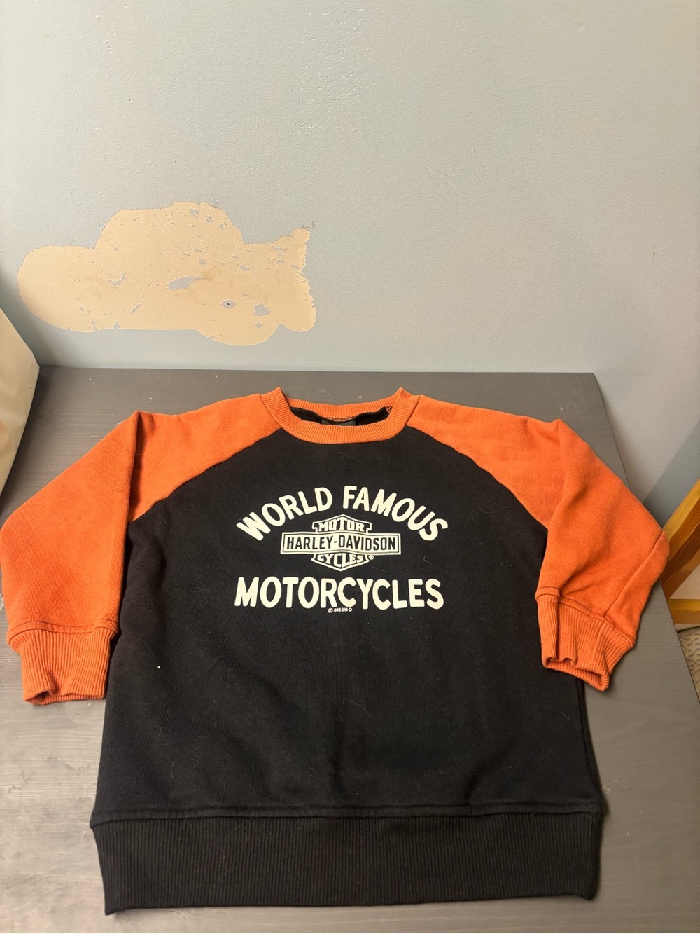 Harley-Davidson Orange and Black Men’s Sweater